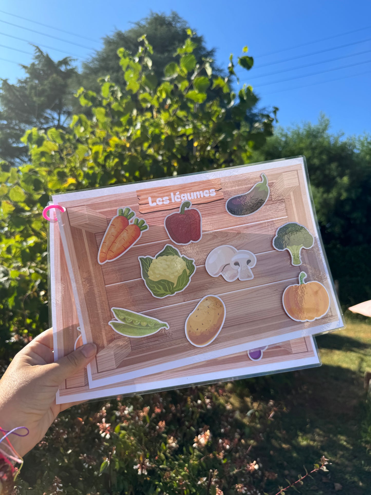 Jeu | fruits et légumes